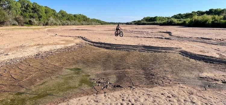 Sequía del Río Bravo amenaza con destruir especies