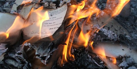 Alertan sobre agresores en Yucatán con ‘Burn Book’