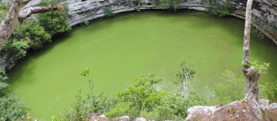 La calidad del agua en los cenotes de Yucatán no es la óptima