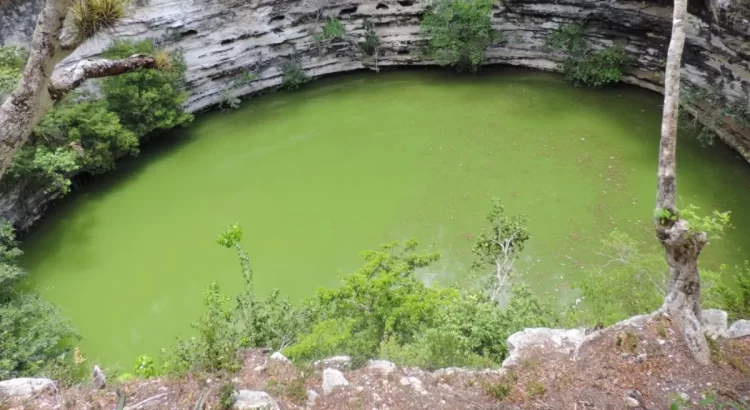 La calidad del agua en los cenotes de Yucatán no es la óptima