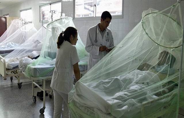 Yucatán es el líder nacional en casos de dengue