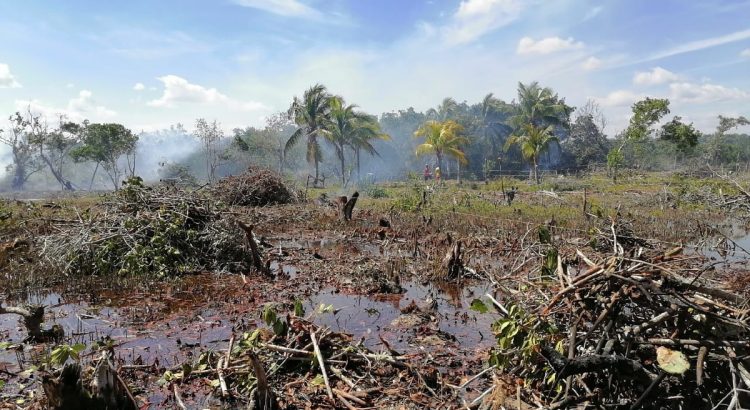 Preparan denuncias penales por daño ambiental al Río Lagartos