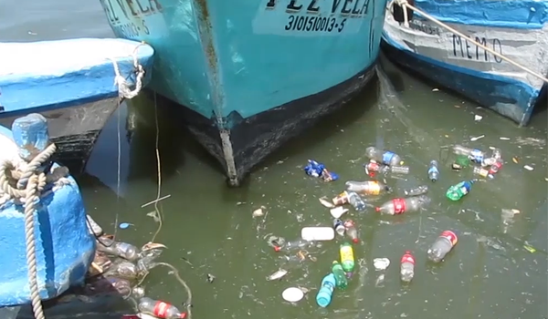 Contaminación en refugios pesqueros de Yucatán podría impactar negativamente