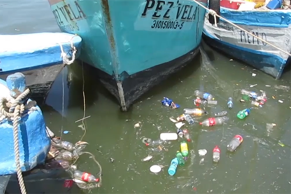 Contaminación en refugios pesqueros de Yucatán podría impactar negativamente