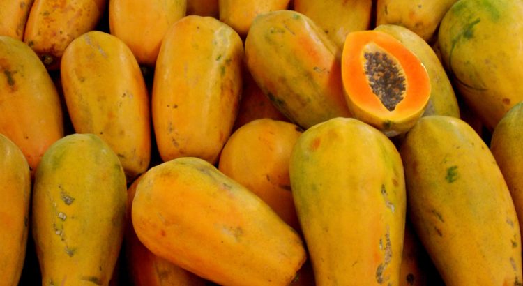 Yucatán se ubica entre las 19 entidades con mayor producción de papaya