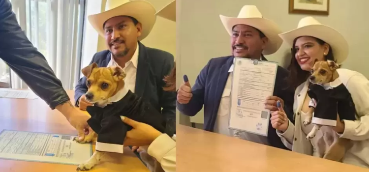 Firma perrito como testigo en la boda de sus “papás”