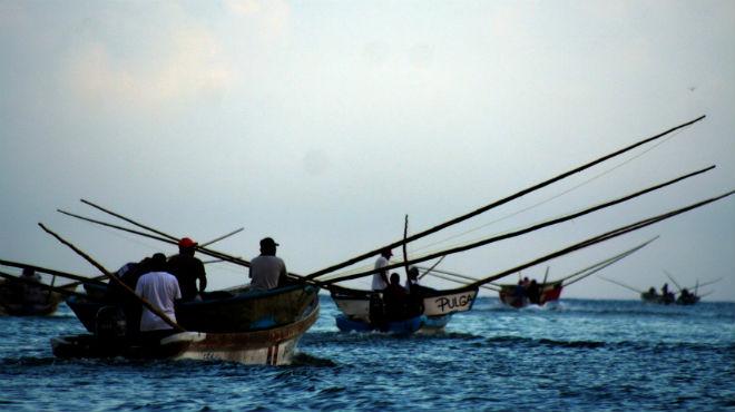 Yucatán ocupa el quinto Estado con mayor producción pesquera del país