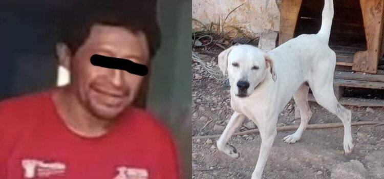 Condenan a primera persona por crueldad animal en Yucatán