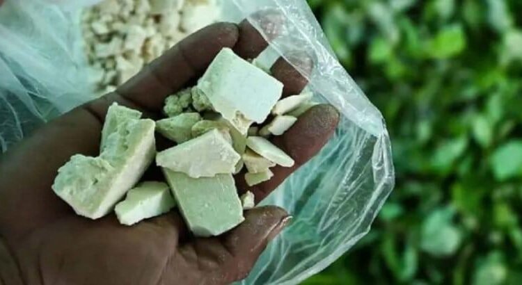 Colombia registró un aumento récord en la producción de cocaína: ONU Colombia registró un aumento récord en la producción de cocaína: ONU