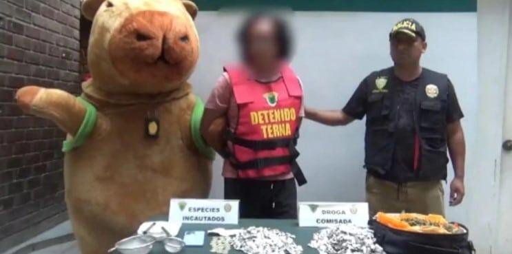 Policía disfrazado de capibara captura a traficante de drogas Policía disfrazado de capibara captura a traficante de drogas