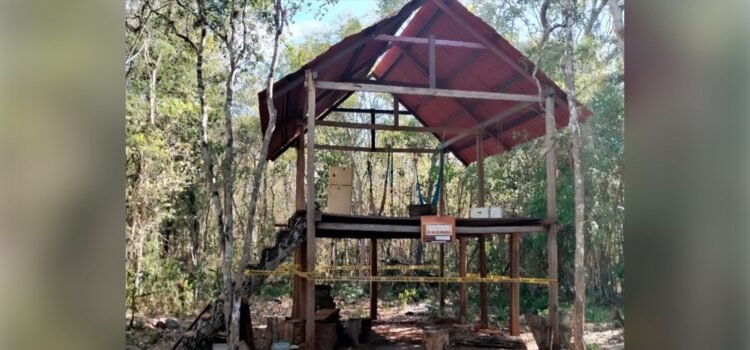 Clausura Profepa obras ilegales en Tekax, Yucatán