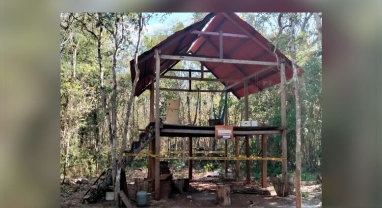 Clausura Profepa obras ilegales en Tekax, Yucatán