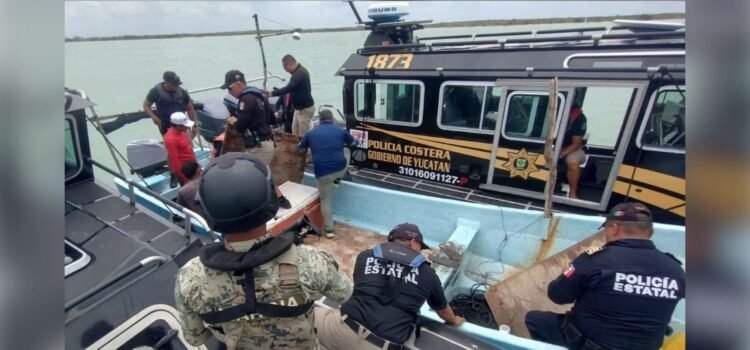Aseguran dos lanchas por pesca furtiva en costas de Celestún, Yucatán