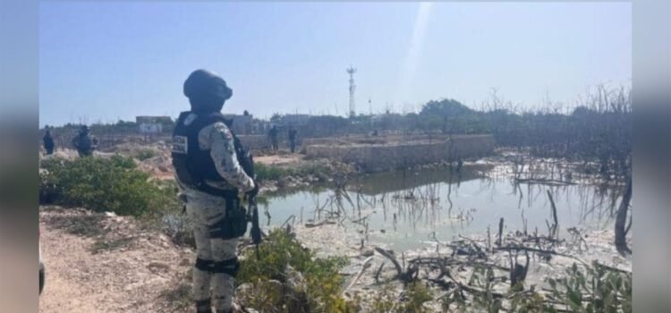 Operativo revela tala y asentamientos irregulares en manglares de San Felipe, Yucatán