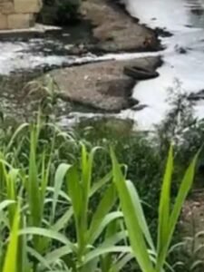 Descendió México en el Índice de Desempeño Ambiental 2024