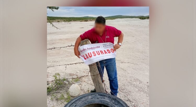 Profepa frena desmonte masivo en Tekax, Yucatán
