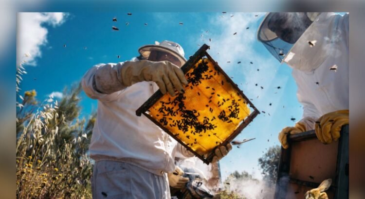 Yucatán busca equilibrar producción apícola y ganadera ante desafíos sanitarios