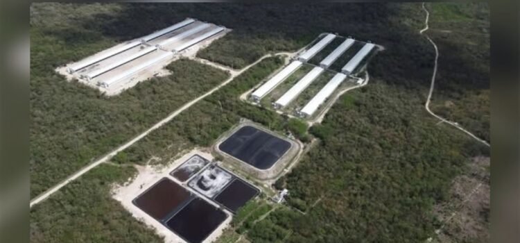 Santa María Chi exige justicia ambiental ante riesgos persistentes
