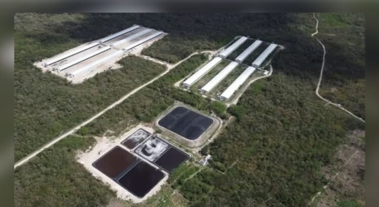 Santa María Chi exige justicia ambiental ante riesgos persistentes