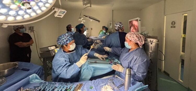 Niños y adolescentes trasplantados en Yucatán muestran alta supervivencia Niños y adolescentes trasplantados en Yucatán muestran alta supervivencia