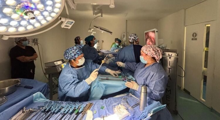 Niños y adolescentes trasplantados en Yucatán muestran alta supervivencia