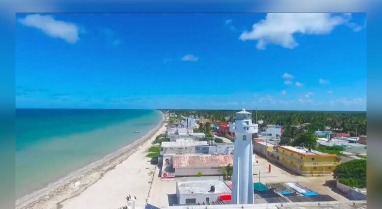 Yucatán refuerza protección de especies marinas con nuevas Zonas de Refugio Pesquero