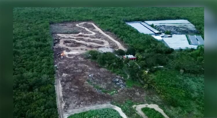 Predio en Chicxulub suspendido por obras ilegales de motocross