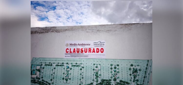 Suspensión de obras en Mérida por daño a selva Suspensión de obras en Mérida por daño a selva