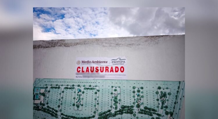 Suspensión de obras en Mérida por daño a selva Suspensión de obras en Mérida por daño a selva