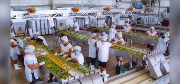 Yucatán, motor económico de México por crecimiento sostenido