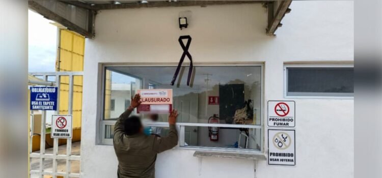 Frena profepa ampliación de granja avícola en Kinchil, Yucatán Frena profepa ampliación de granja avícola en Kinchil, Yucatán