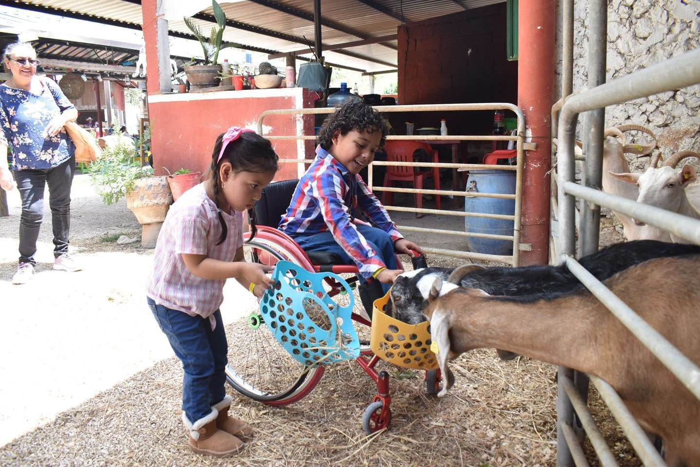 Familias viven experiencia de inclusión en visita recreativa a Ponylandia en Yucatán