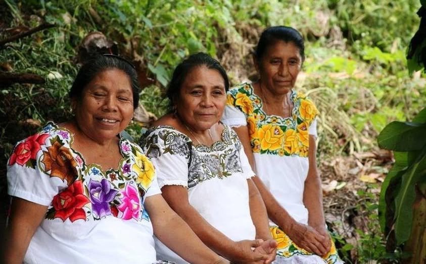 Seis de cada diez niños mayahablantes en Yucatán ya no aprenden la lengua en casa