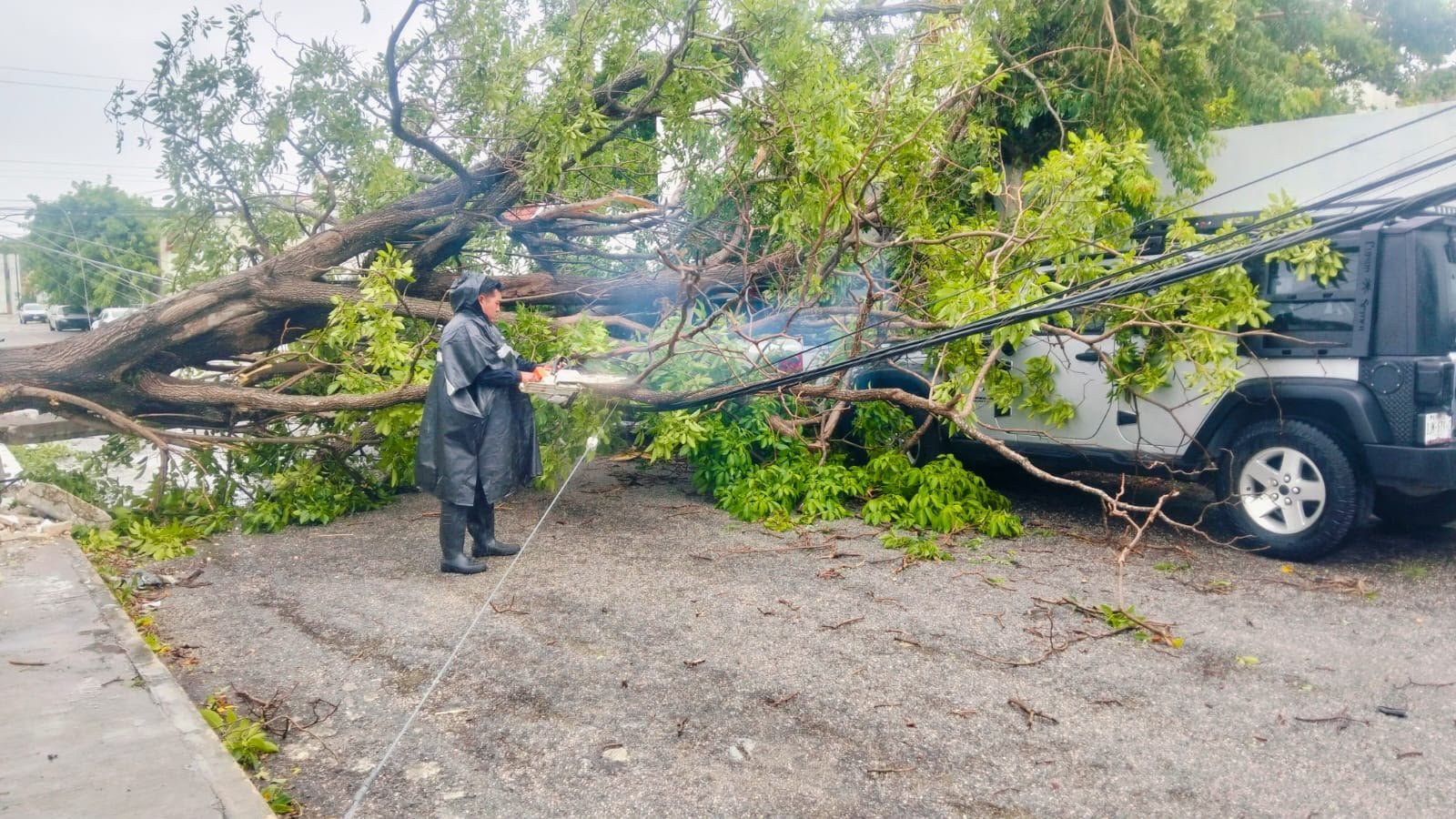 La SSP atendió en un solo día 116 reportes de afectaciones por las lluvias en Mérida y municipios de Yucatán