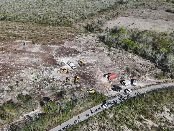 Yucatán pierde selva mientras los desmontes avanzan antes de ser frenados