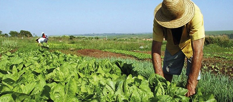 Yucatán lidera el país en juicios agrarios y asuntos concluidos durante 2025
