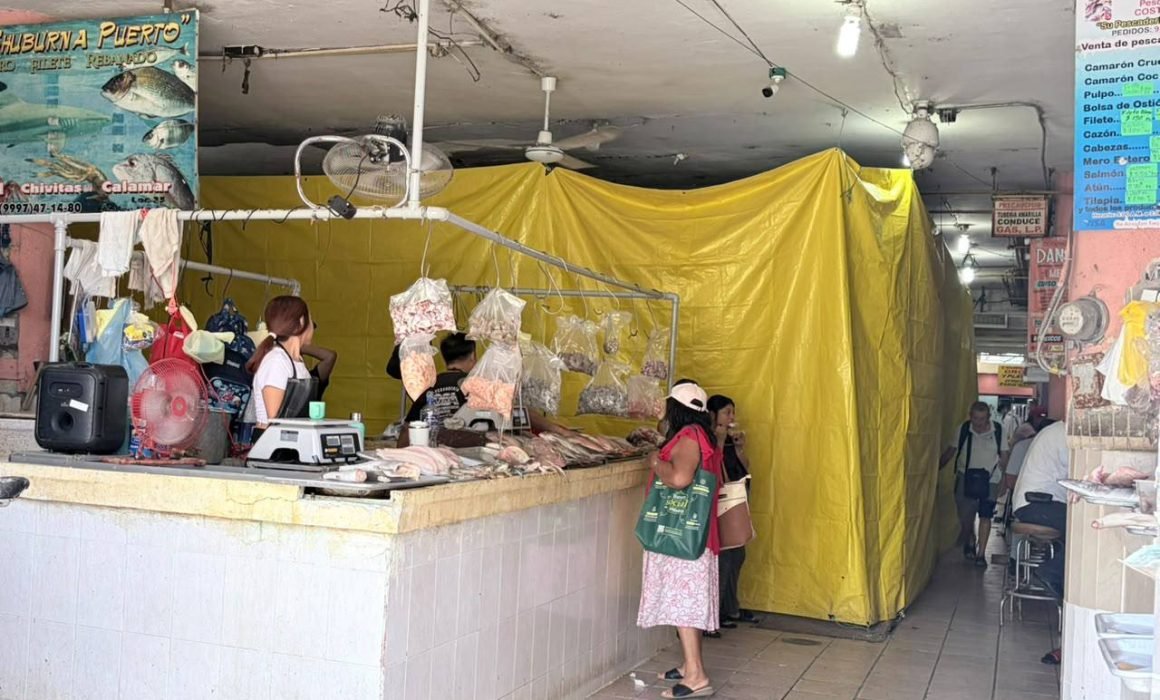 Rehabilitación del área de pescados y mariscos del Mercado Lucas de Gálvez lleva 20 por ciento de avance