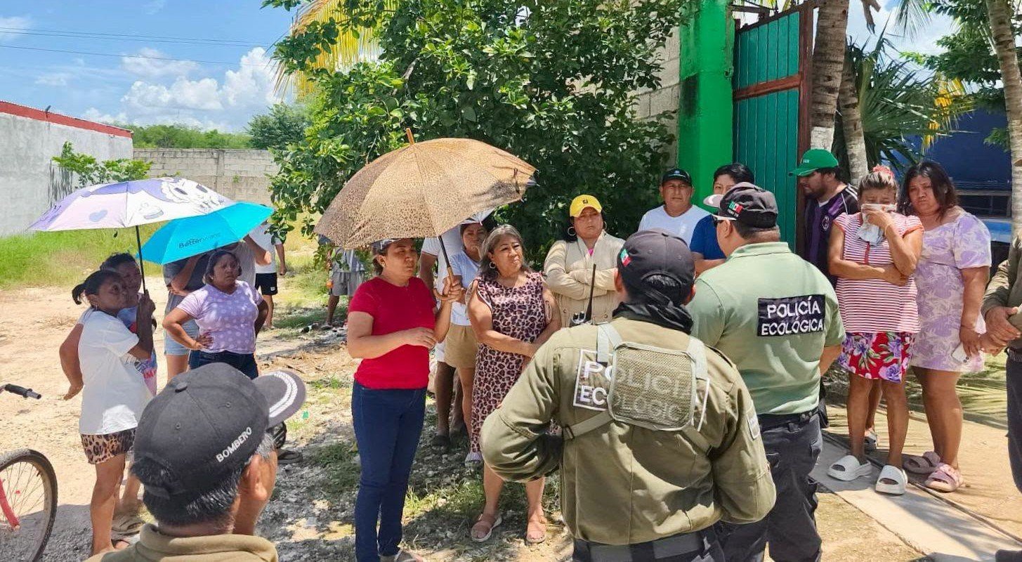 Tras protesta, empresa de aceites dejará San Pedro Noh Pat