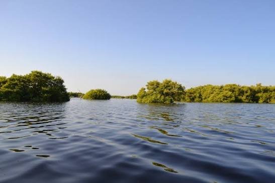 Comunidades de la Península restauran humedales para enfrentar el cambio climático