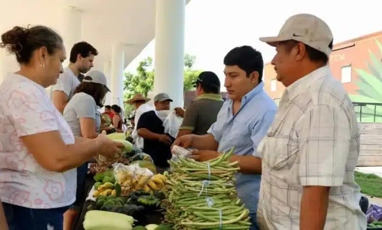 10° edición del Mercado Renacer del Campo Yucatán espera a más de 600 productores